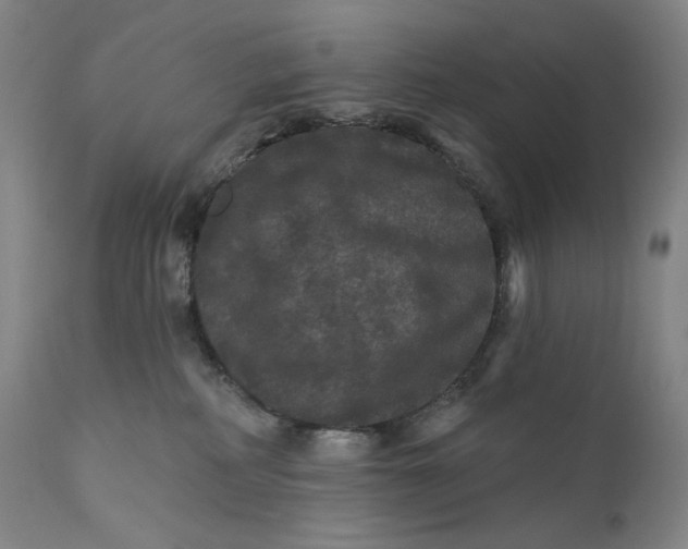 X0000111640234200908071350