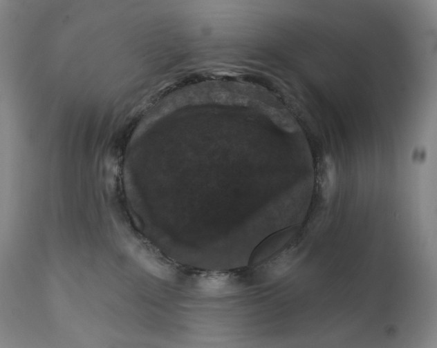 X0000111640235200908071350