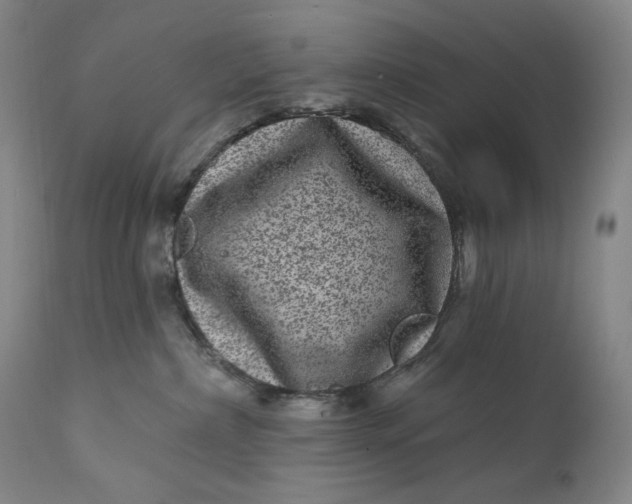 X0000111640236200908071350