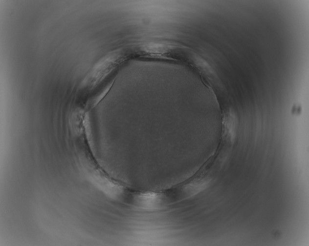 X0000111640237200908071350