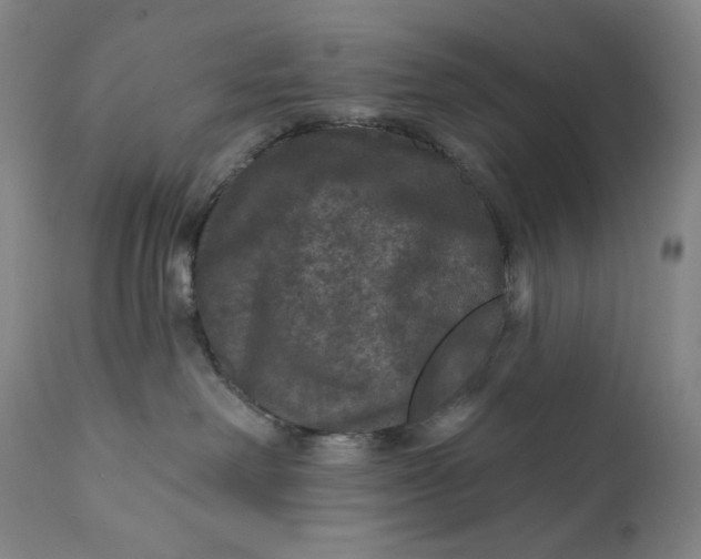 X0000111640238200908071350