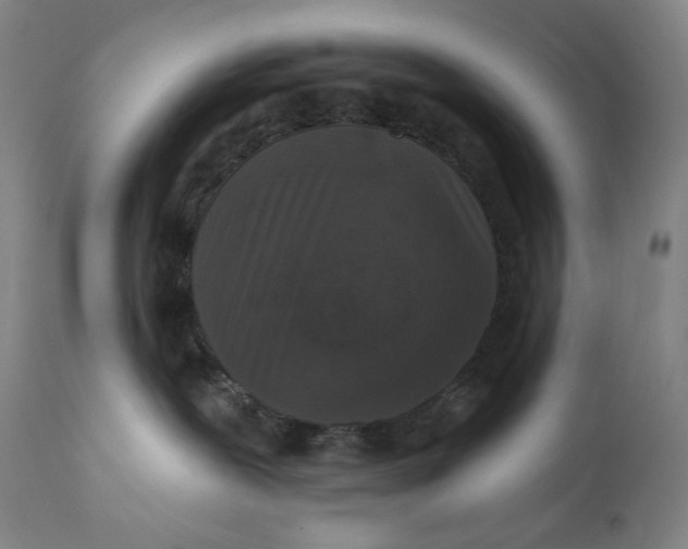 X0000111640239200908071350