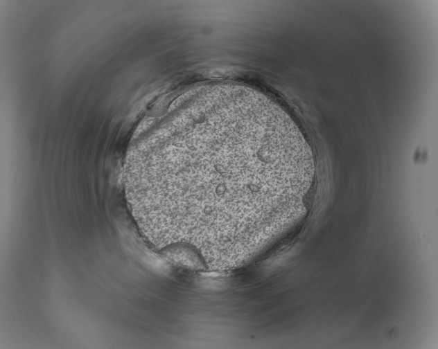 X0000111640240200908071350