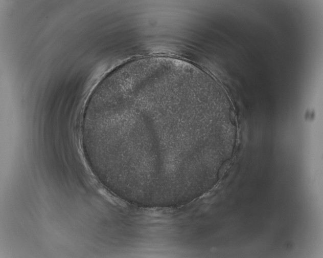 X0000111640241200908071349