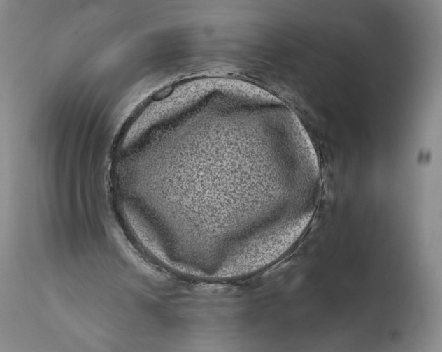 X0000111640242200908071349