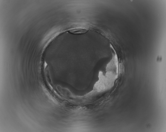 X0000111640243200908071349