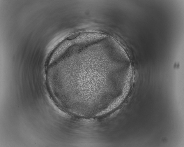 X0000111640245200908071349