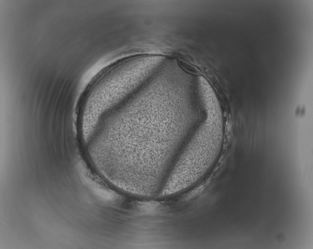 X0000111640246200908071349