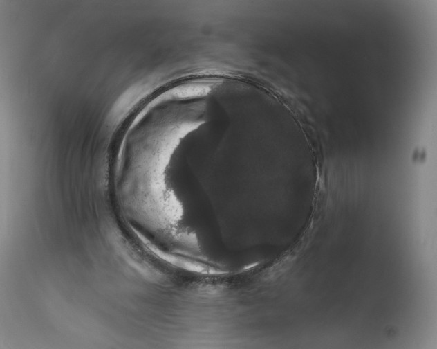 X0000111640247200908071349