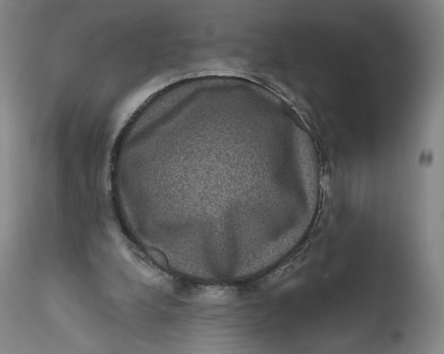 X0000111640248200908071349