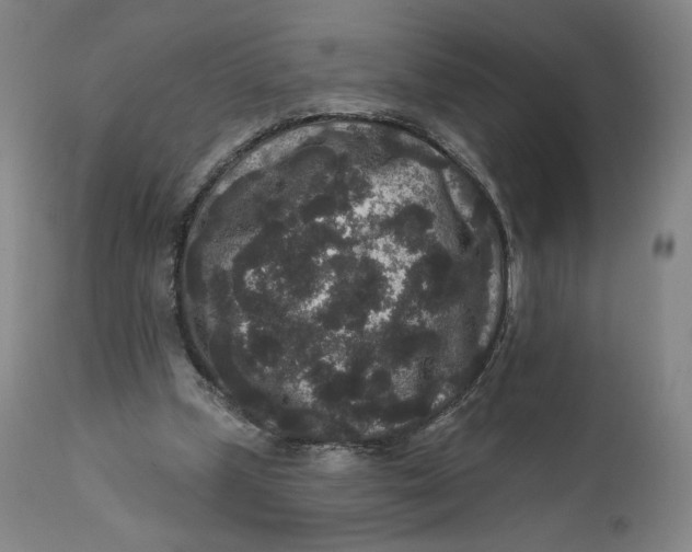 X0000111640249200908071349