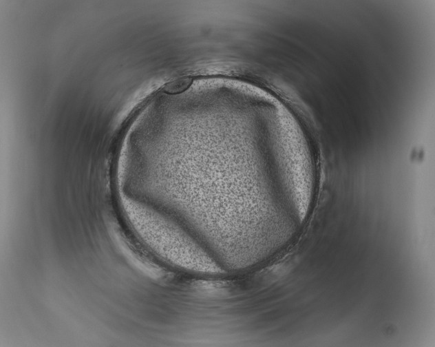 X0000111640250200908071349