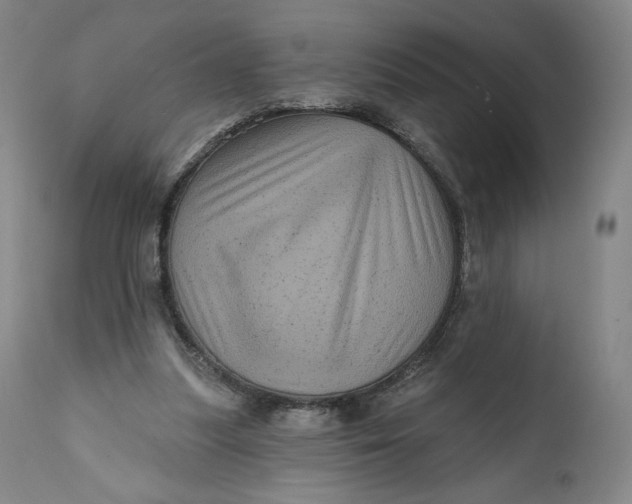 X0000111640251200908071349