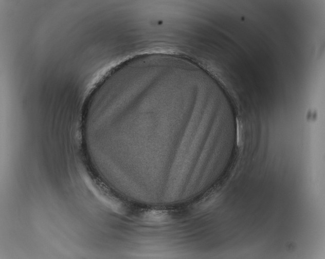 X0000111640252200908071349