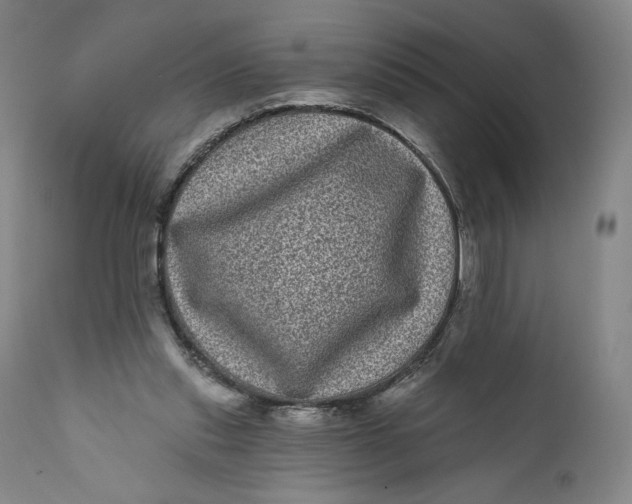 X0000111640253200908071349