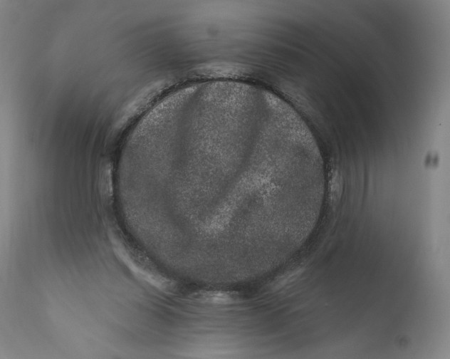 X0000111640254200908071349