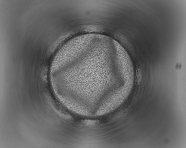 X0000111640255200908071349