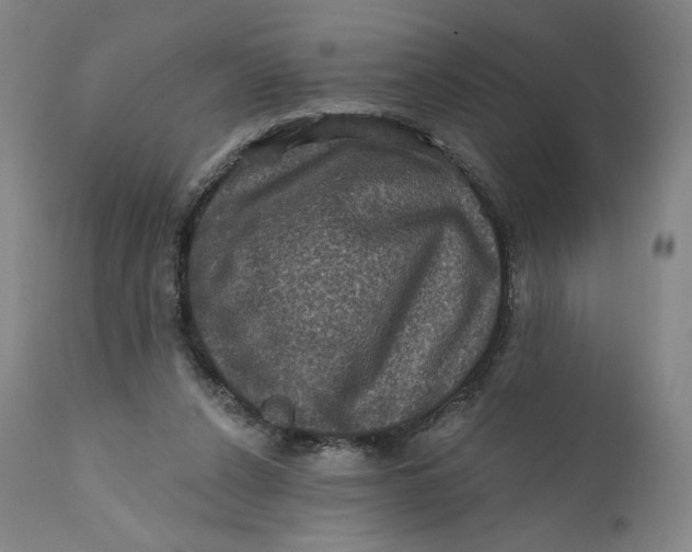 X0000111640256200908071349