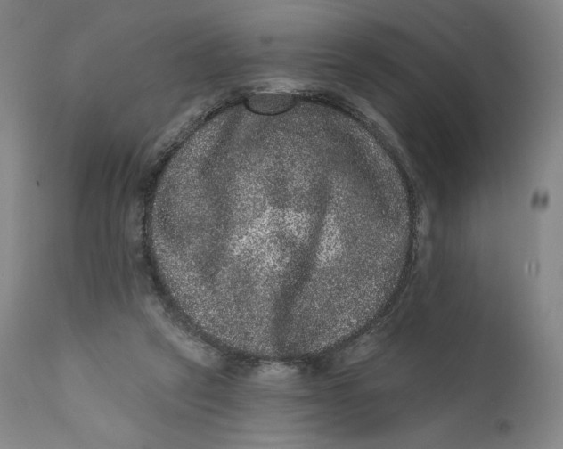 X0000111640257200908071349