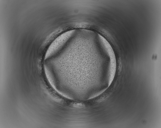 X0000111640258200908071349