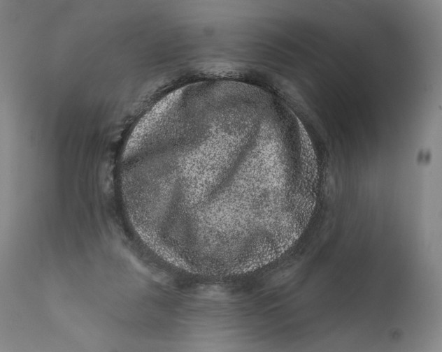 X0000111640259200908071349