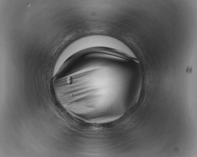 X0000111640260200908071349