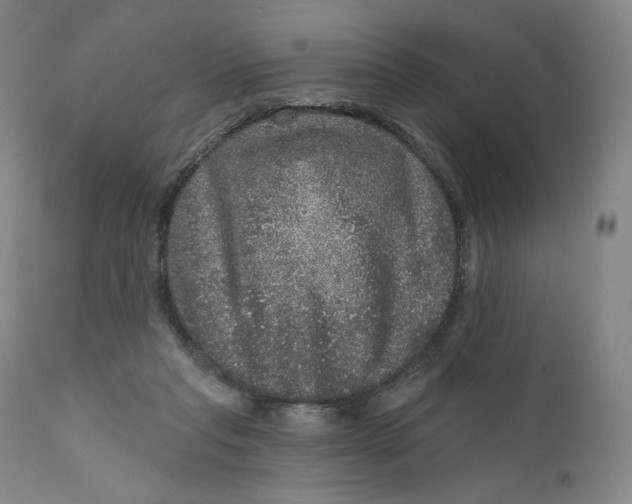X0000111640261200908071349