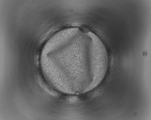 X0000111640262200908071349