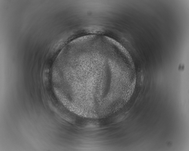 X0000111640263200908071350