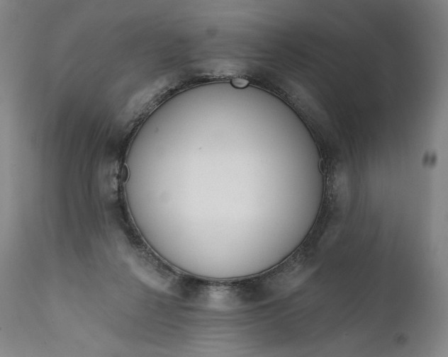 X0000111640264200908071350