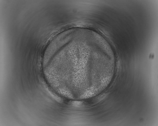 X0000111640265200908071350