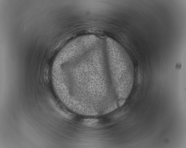 X0000111640266200908071350