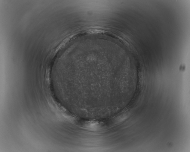 X0000111640267200908071350