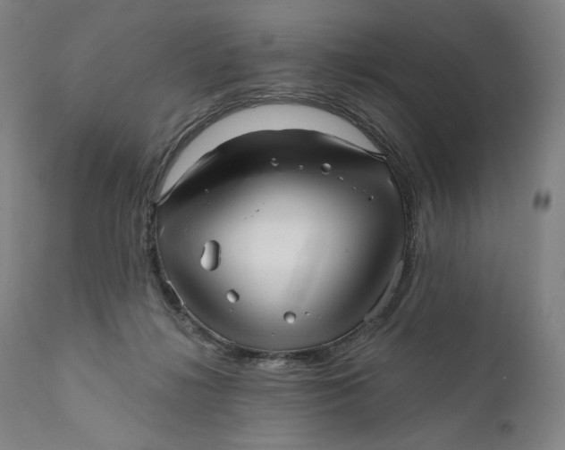 X0000111640268200908071350