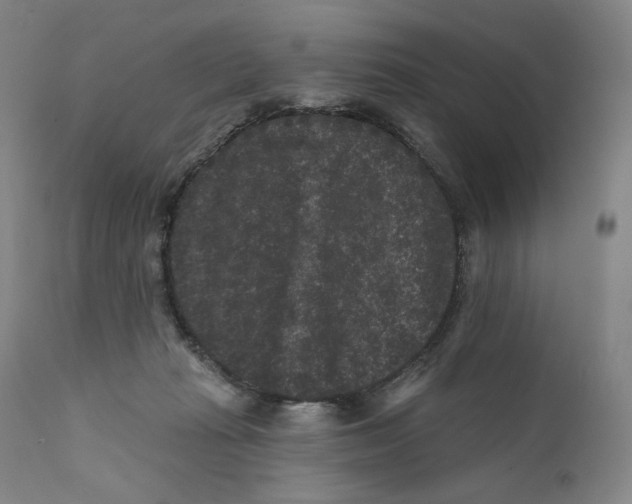X0000111640269200908071350
