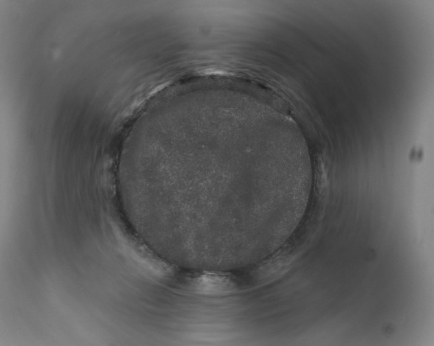 X0000111640270200908071350