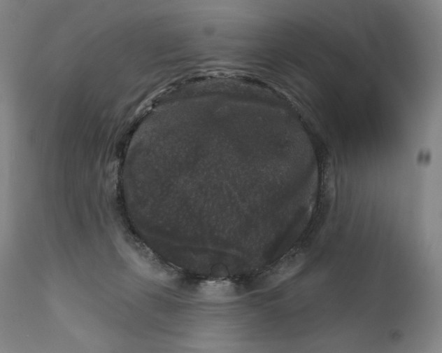 X0000111640271200908071350