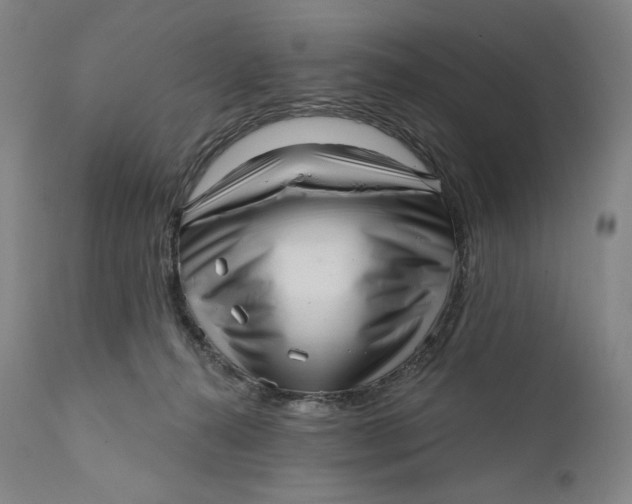 X0000111640272200908071350