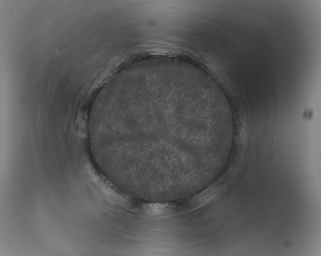 X0000111640273200908071350