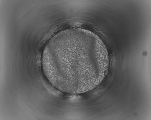 X0000111640274200908071350