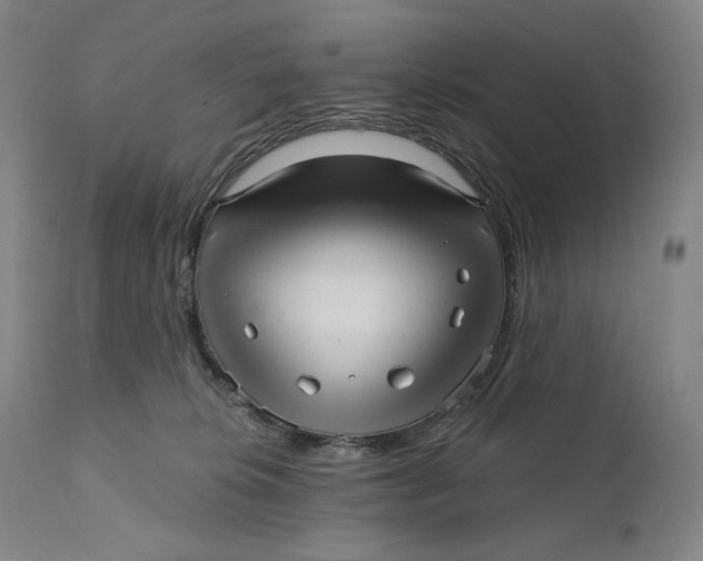 X0000111640276200908071350