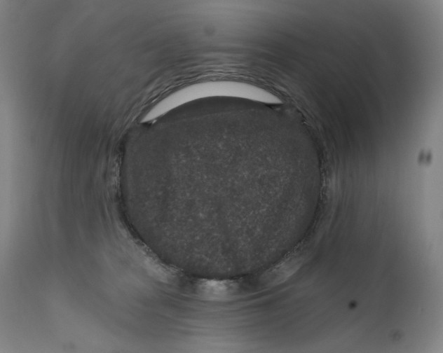 X0000111640277200908071350