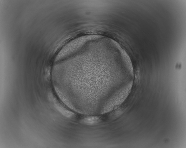 X0000111640278200908071350