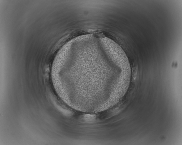 X0000111640279200908071350