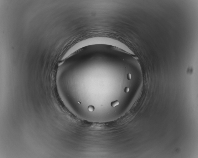 X0000111640280200908071350