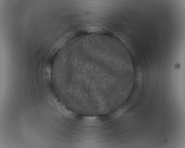 X0000111640281200908071350
