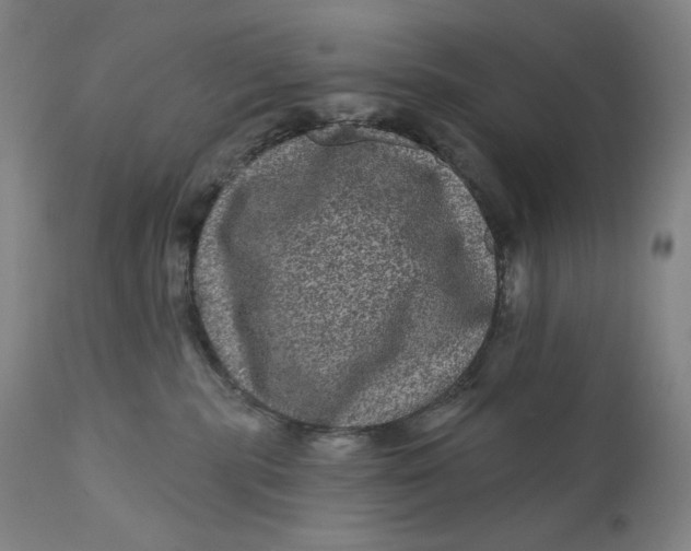 X0000111640283200908071350