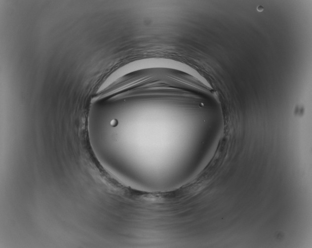 X0000111640284200908071350