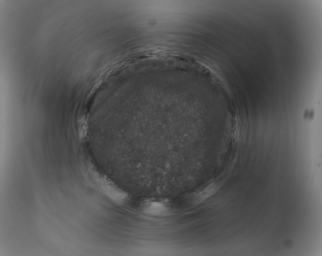 X0000111640285200908071350