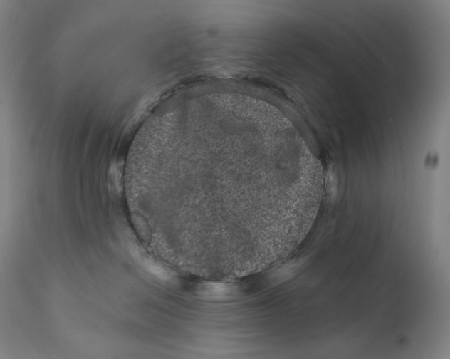 X0000111640286200908071350